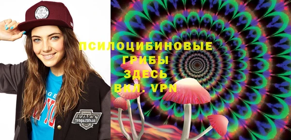 apvp Бугульма