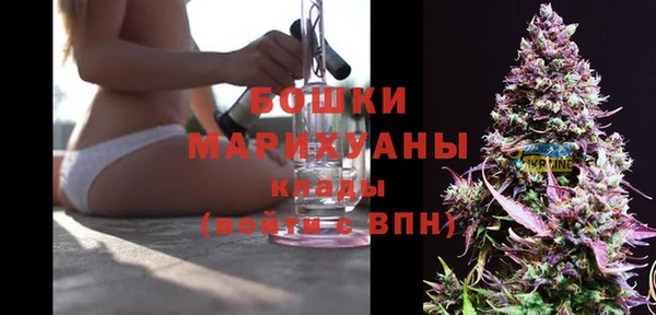 дживик Верея